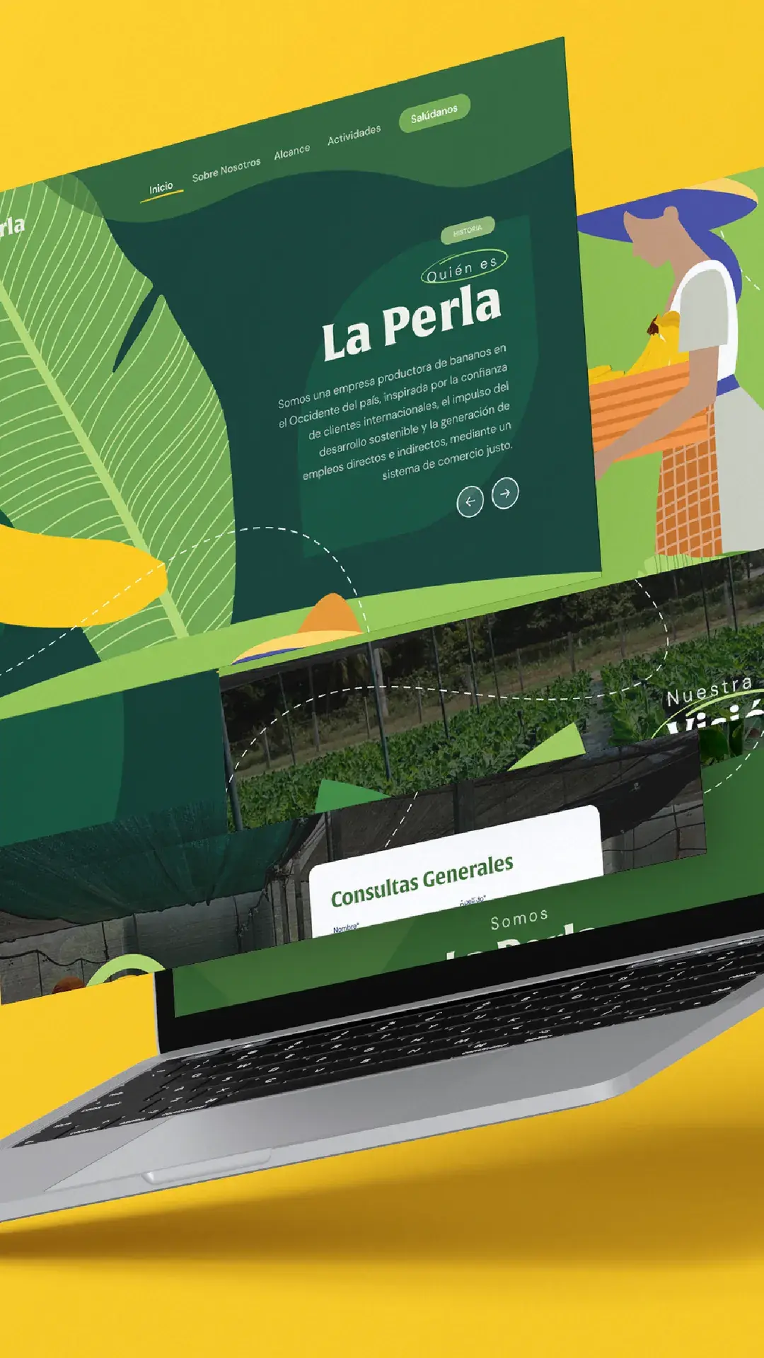 Trabajo de branding del portafolio de 1bite